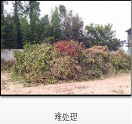 1536552081104618.jpg 生態(tài)服務(wù)28.jpg